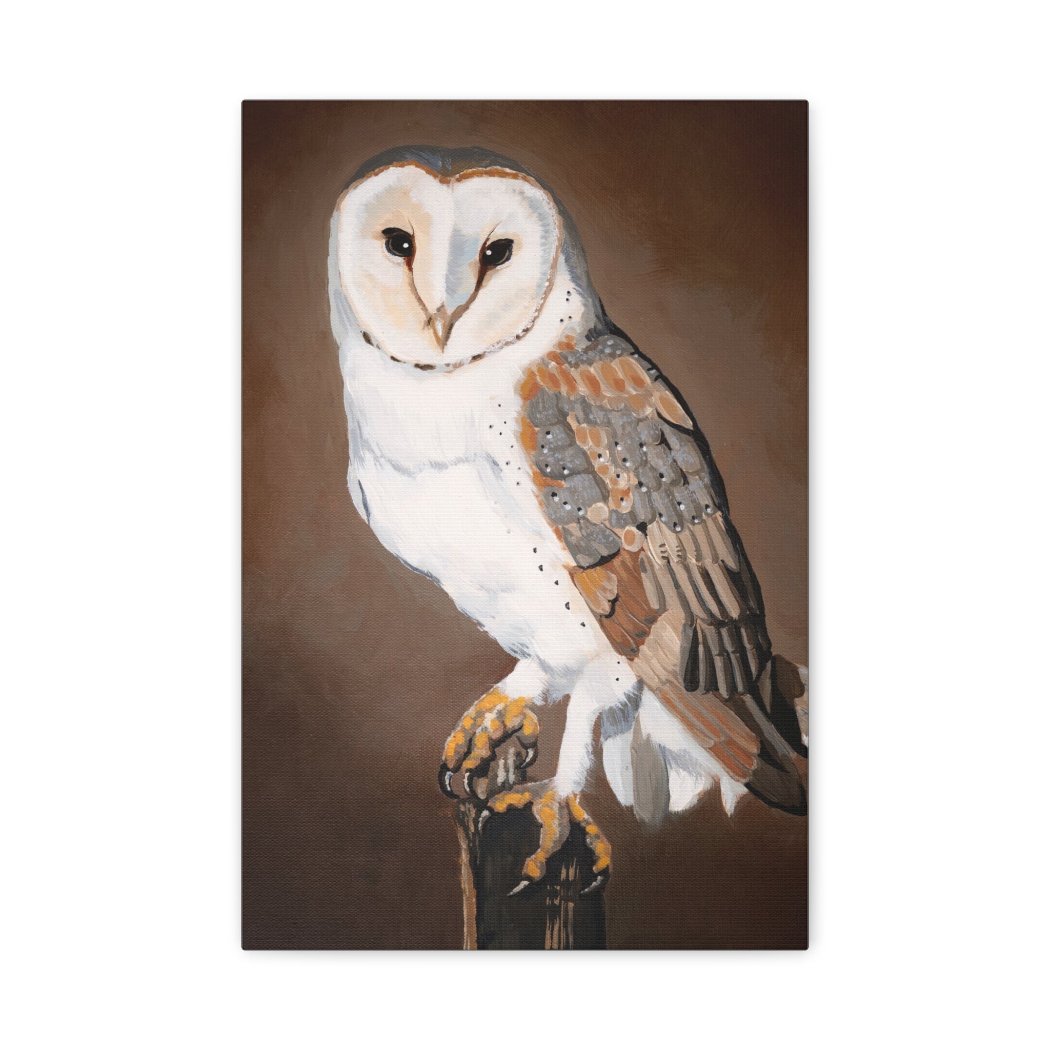Barn Owl Matte Canvas Wall Art — Stretched Wildlife Painting