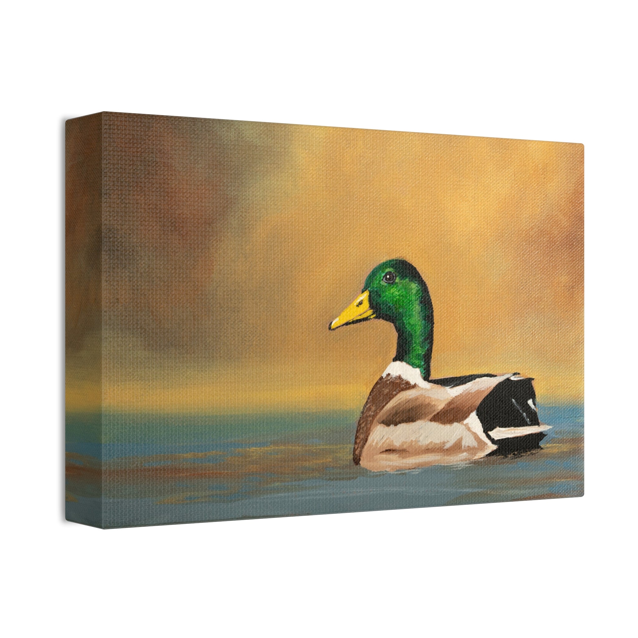 Mallard - Canvas Stretched, 1.5''