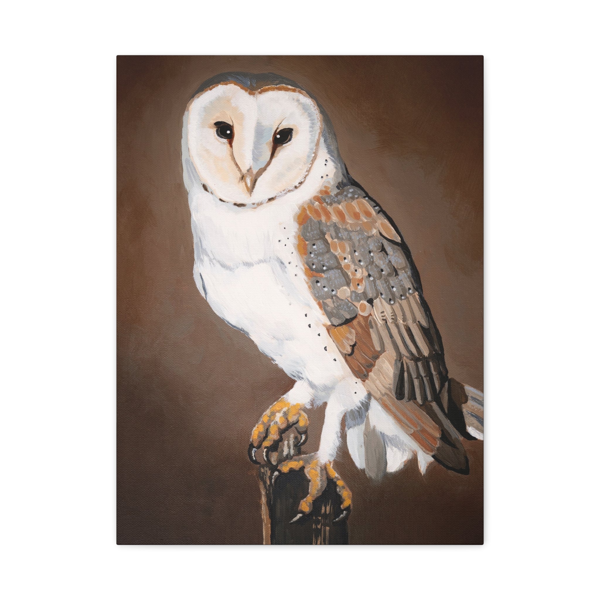 Barn Owl Matte Canvas Wall Art — Stretched Wildlife Painting