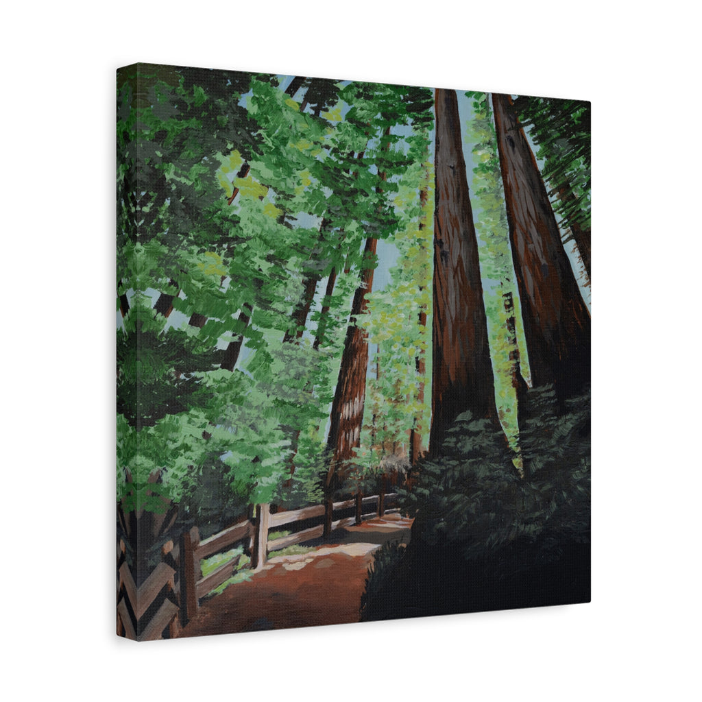 Redwood Forest Painting Canvas Print — Stretched Matte Wall Art