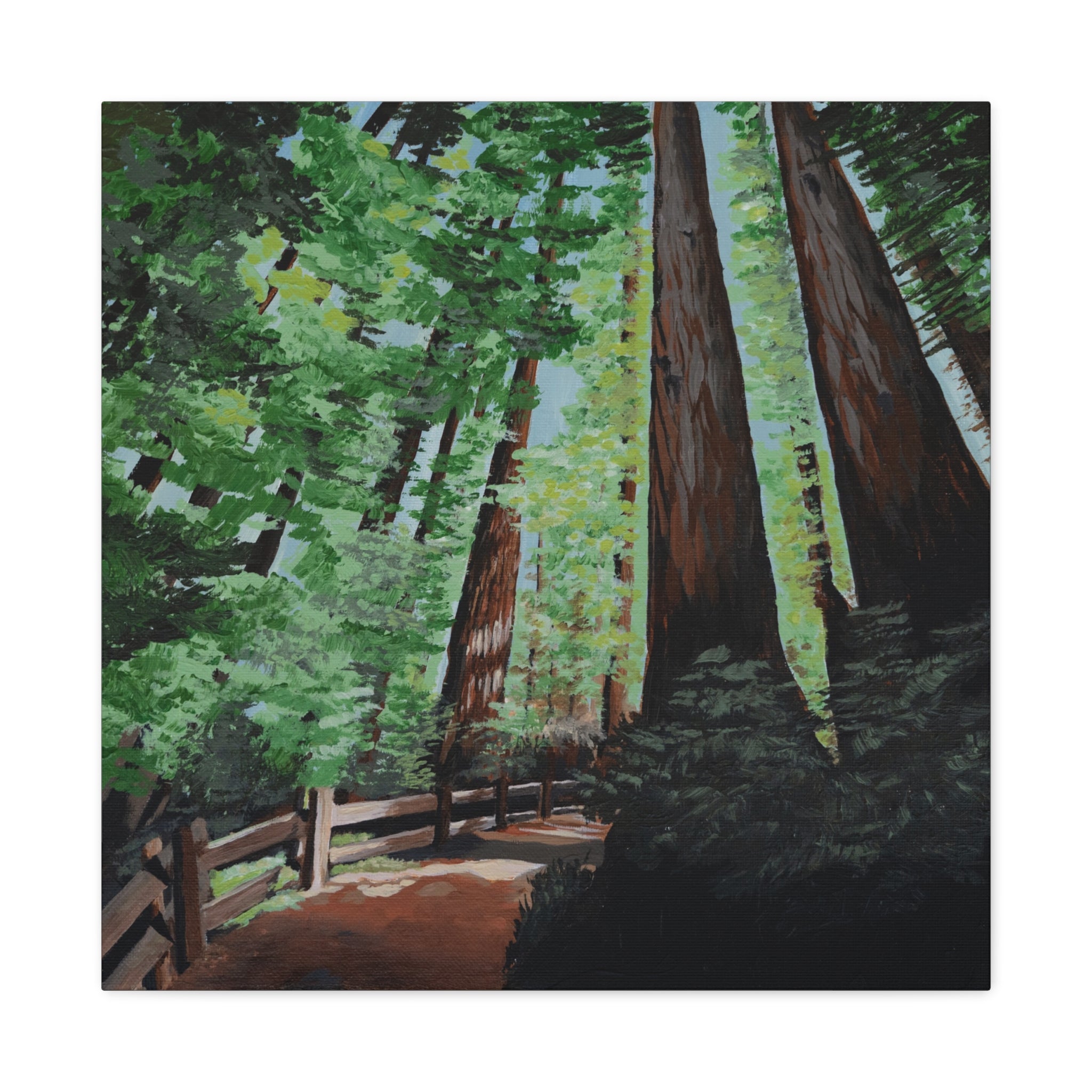 Redwood Forest Painting Canvas Print — Stretched Matte Wall Art