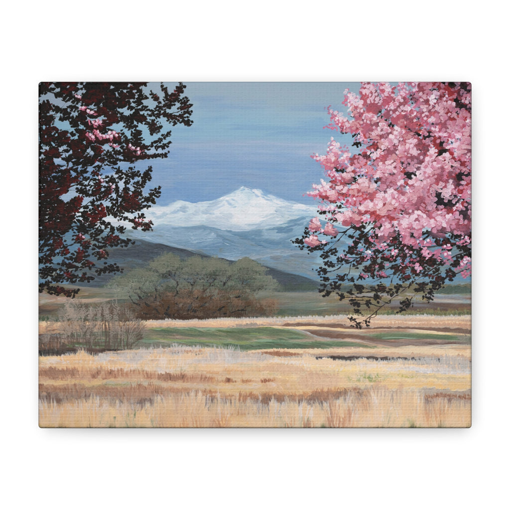 Mountain Blossom Canvas Print — Spring Landscape Matte Stretched Wall Art