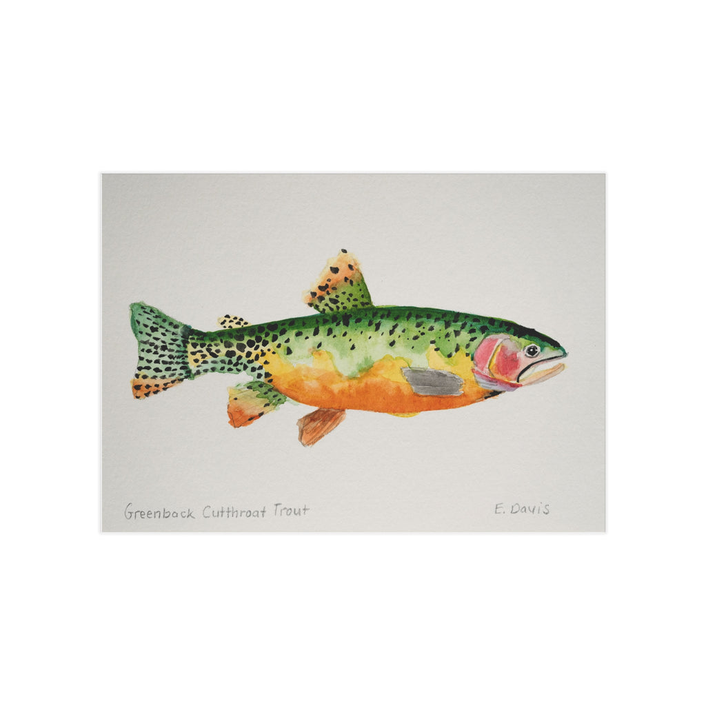 Greenback Cutthroat Trout Art Print 5x7" — Watercolor Fish Unframed Print for Anglers & Nature Lovers