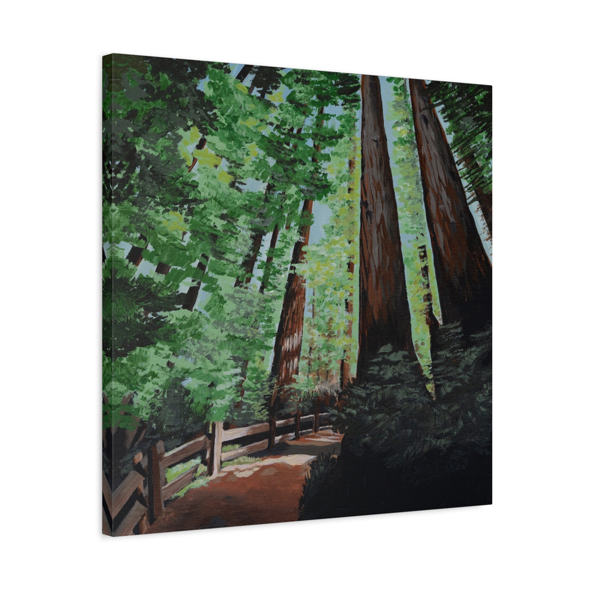 Redwood Forest Painting Canvas Print — Stretched Matte Wall Art