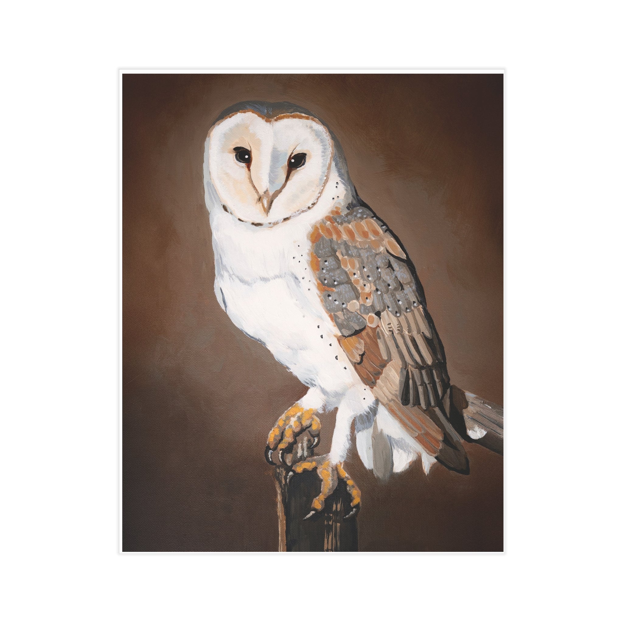Barn Owl Art Print 8x10" — Realistic Wildlife Wall Decor (Unframed)