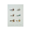 Watercolor Fly Fishing Print — 'Match the Hatch' Unframed Art Print