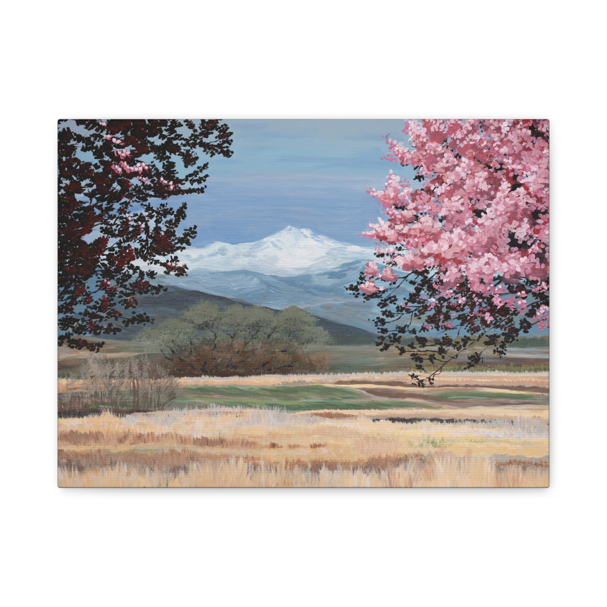 Mountain Blossom Canvas Print — Spring Landscape Matte Stretched Wall Art