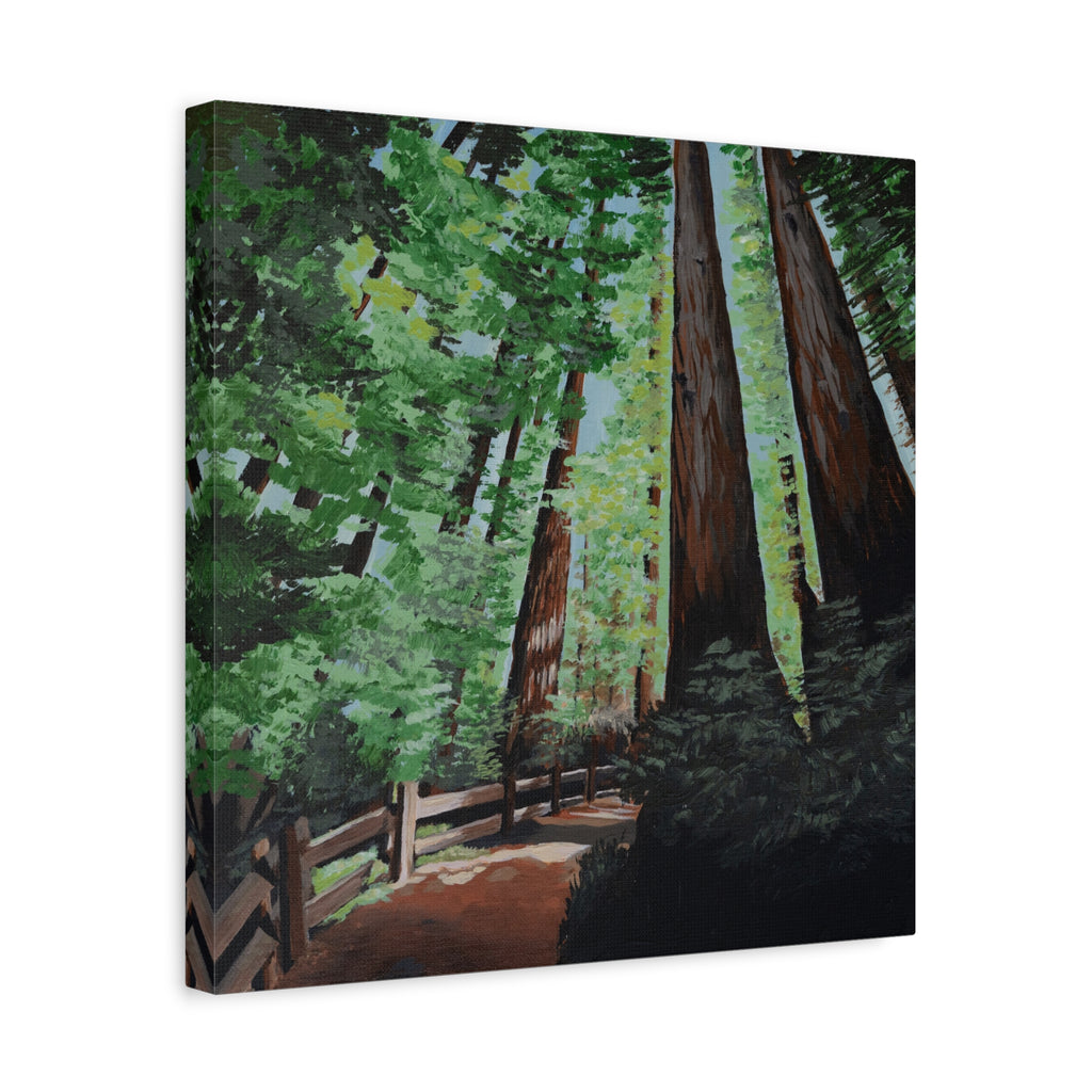 Redwood Forest Painting Canvas Print — Stretched Matte Wall Art
