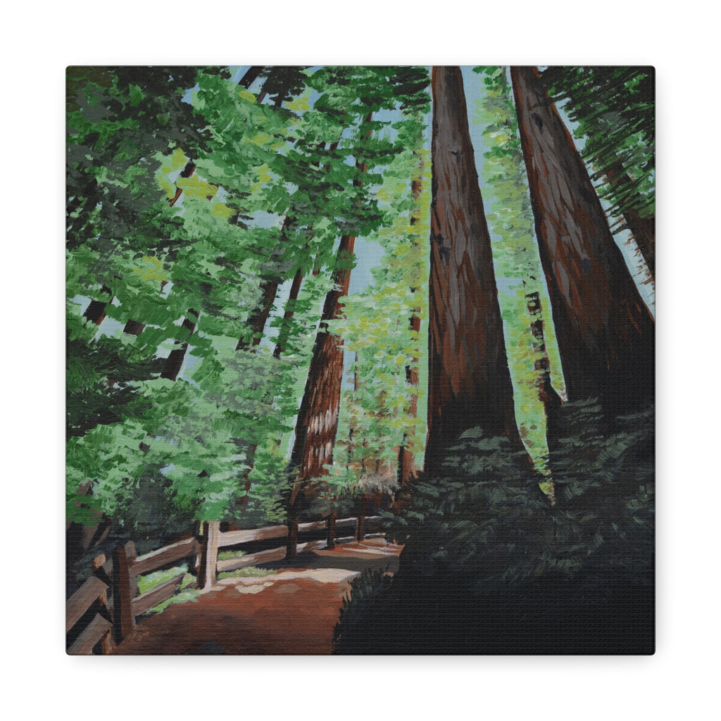 Redwood Forest Painting Canvas Print — Stretched Matte Wall Art