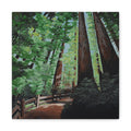 Redwood Forest Painting Canvas Print — Stretched Matte Wall Art