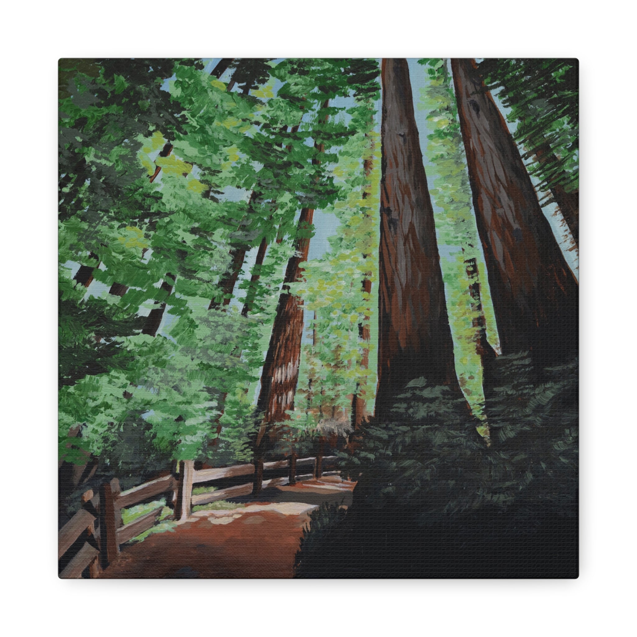 Redwood Forest Painting Canvas Print — Stretched Matte Wall Art