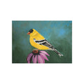 Goldfinch Art Print 5x7"— Yellow Bird Painting on Coneflower (Unframed)