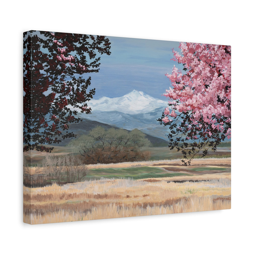 Mountain Blossom Canvas Print — Spring Landscape Matte Stretched Wall Art