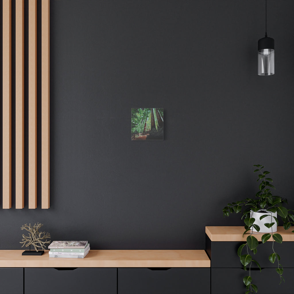 Redwood Forest Painting Canvas Print — Stretched Matte Wall Art