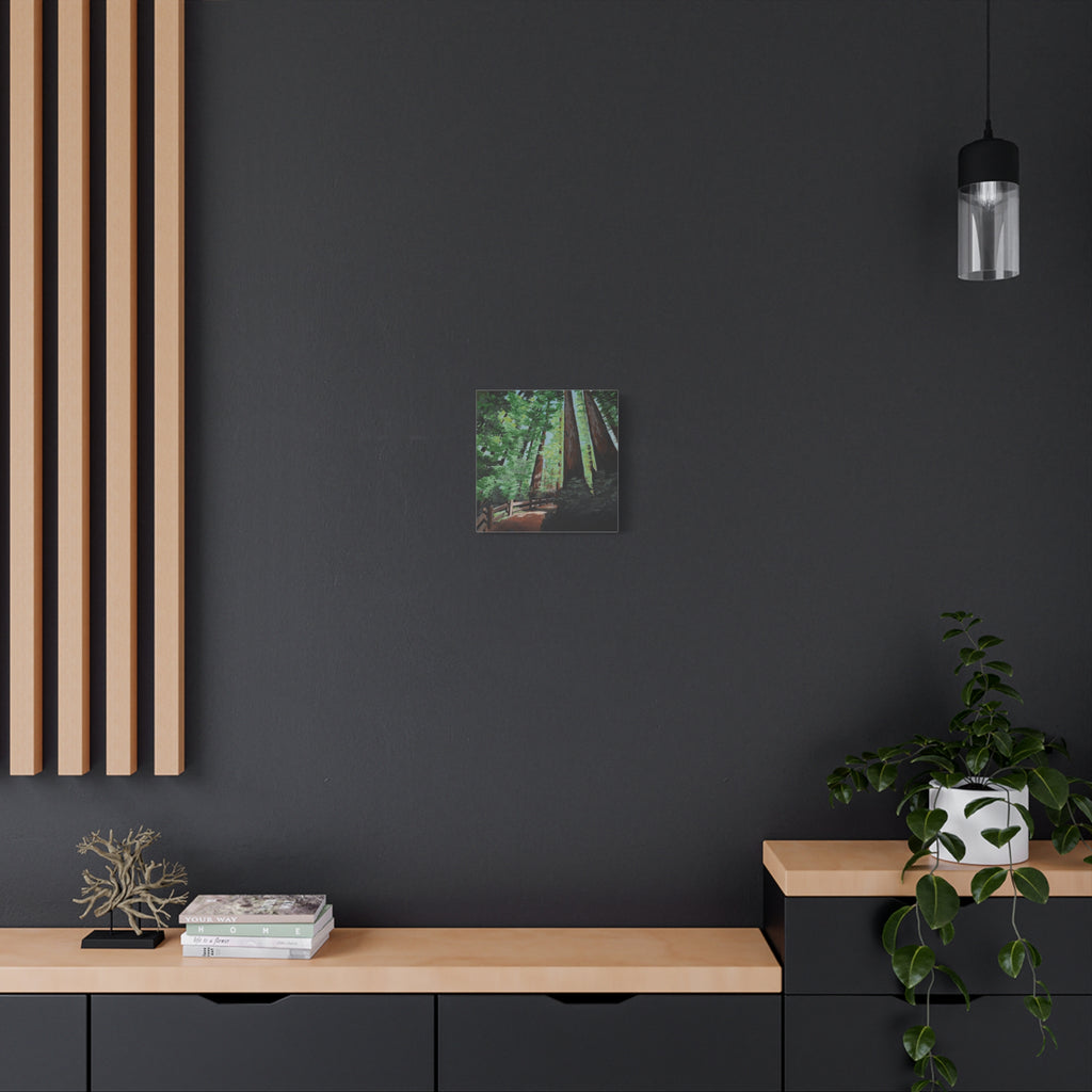 Redwood Forest Painting Canvas Print — Stretched Matte Wall Art