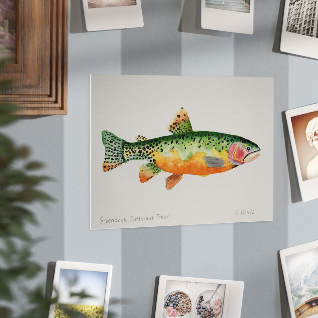 Greenback Cutthroat Trout Art Print 5x7" — Watercolor Fish Unframed Print for Anglers & Nature Lovers