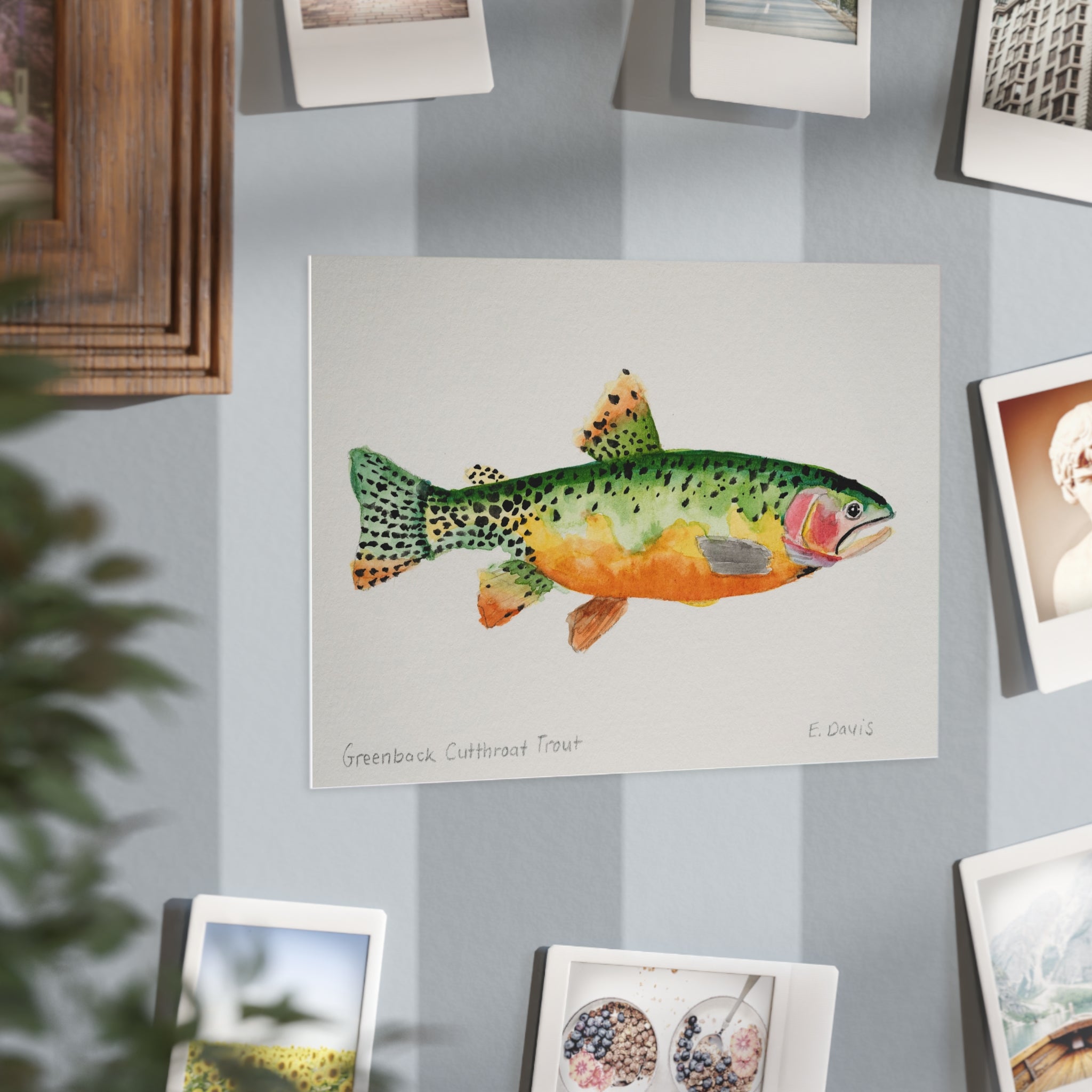 Greenback Cutthroat Trout Art Print 5x7" — Watercolor Fish Unframed Print for Anglers & Nature Lovers