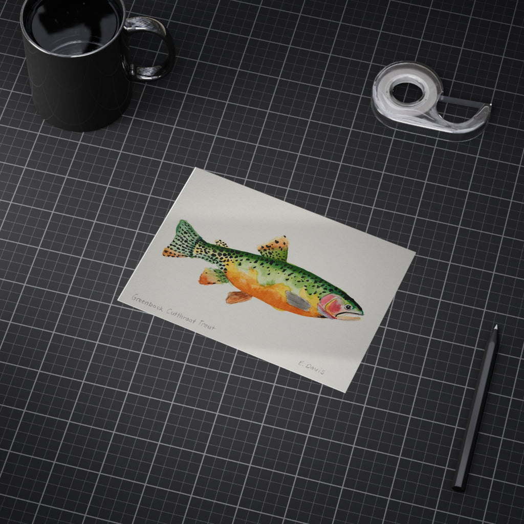 Greenback Cutthroat Trout Art Print 5x7" — Watercolor Fish Unframed Print for Anglers & Nature Lovers