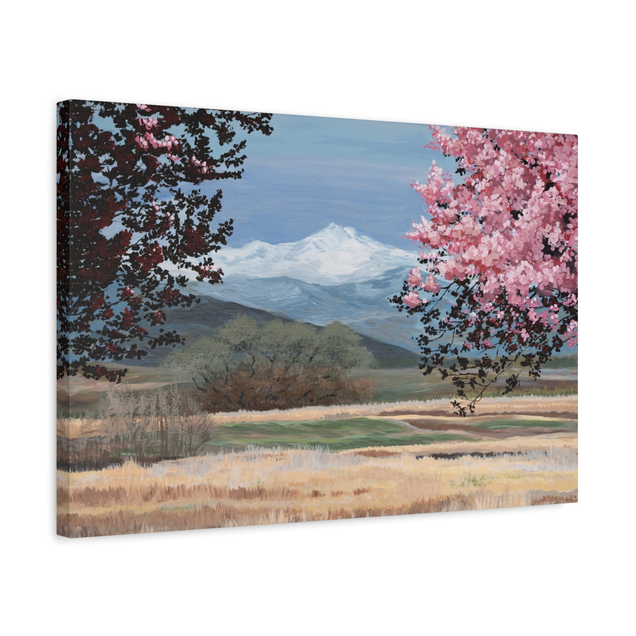 Mountain Blossom Canvas Print — Spring Landscape Matte Stretched Wall Art