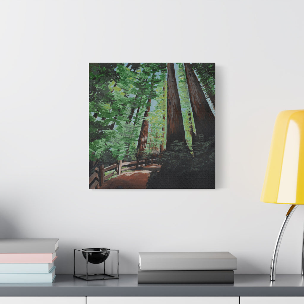 Redwood Forest Painting Canvas Print — Stretched Matte Wall Art