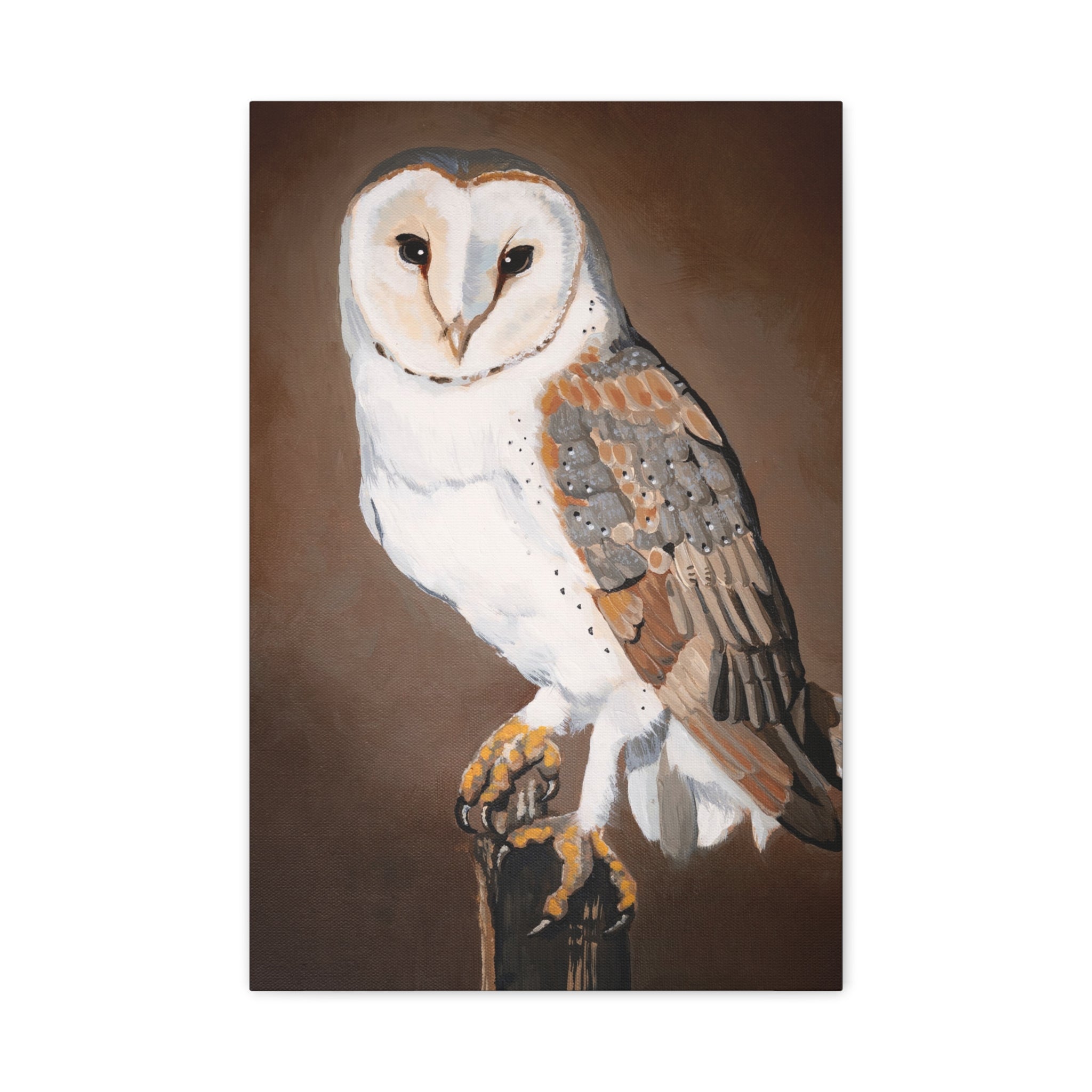 Barn Owl Matte Canvas Wall Art — Stretched Wildlife Painting