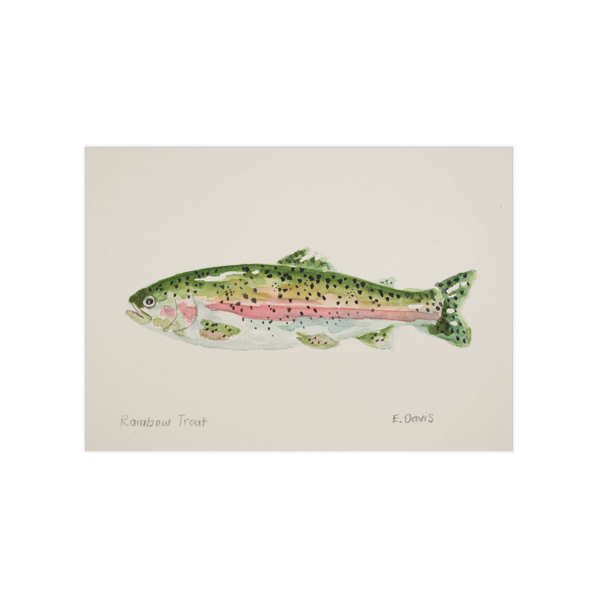 Rainbow Trout Watercolor Print 5x7" — Unframed Fish Art Print for Anglers & Nautical Decor