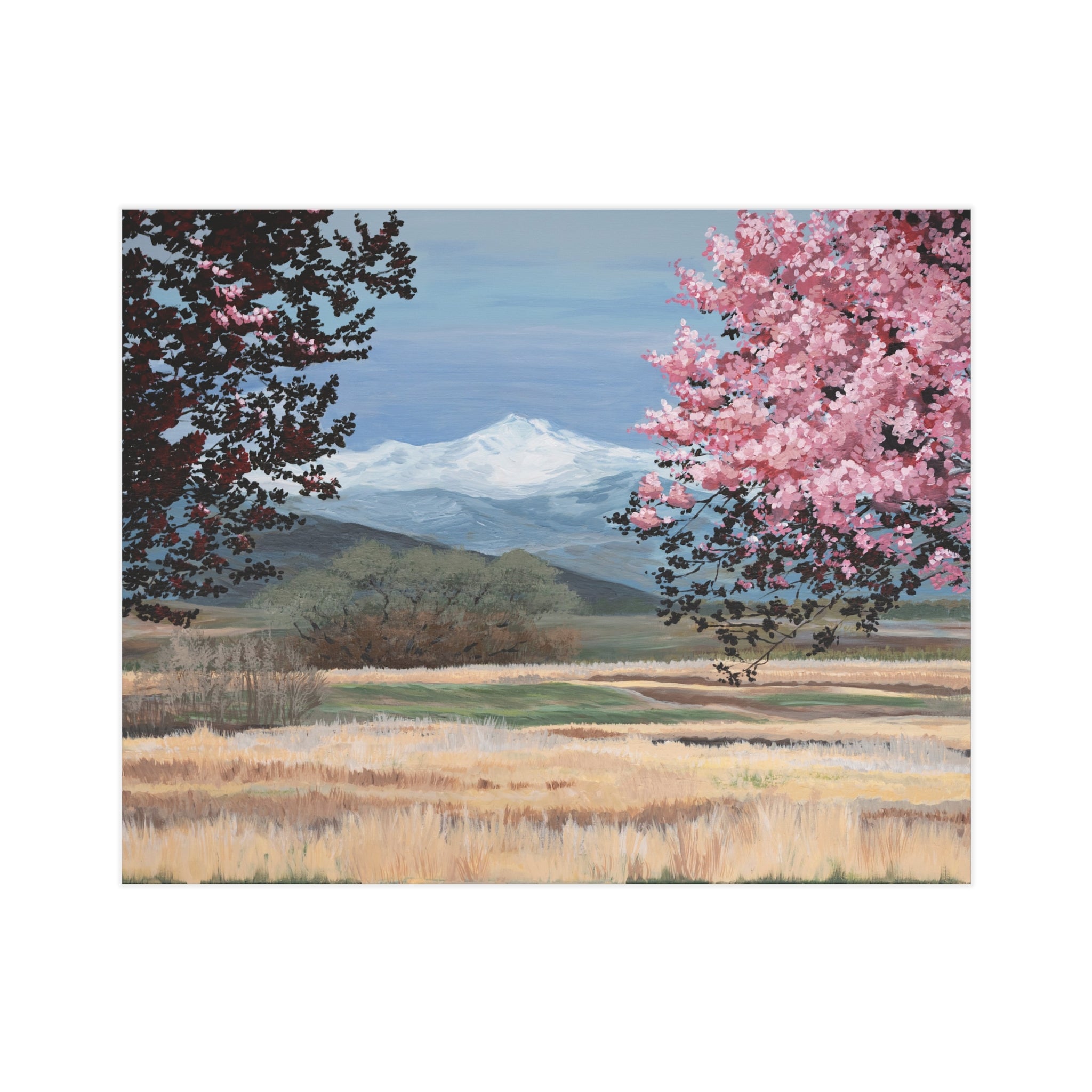 Spring Mountain Landscape Print — Cherry Blossom Field Unframed Art