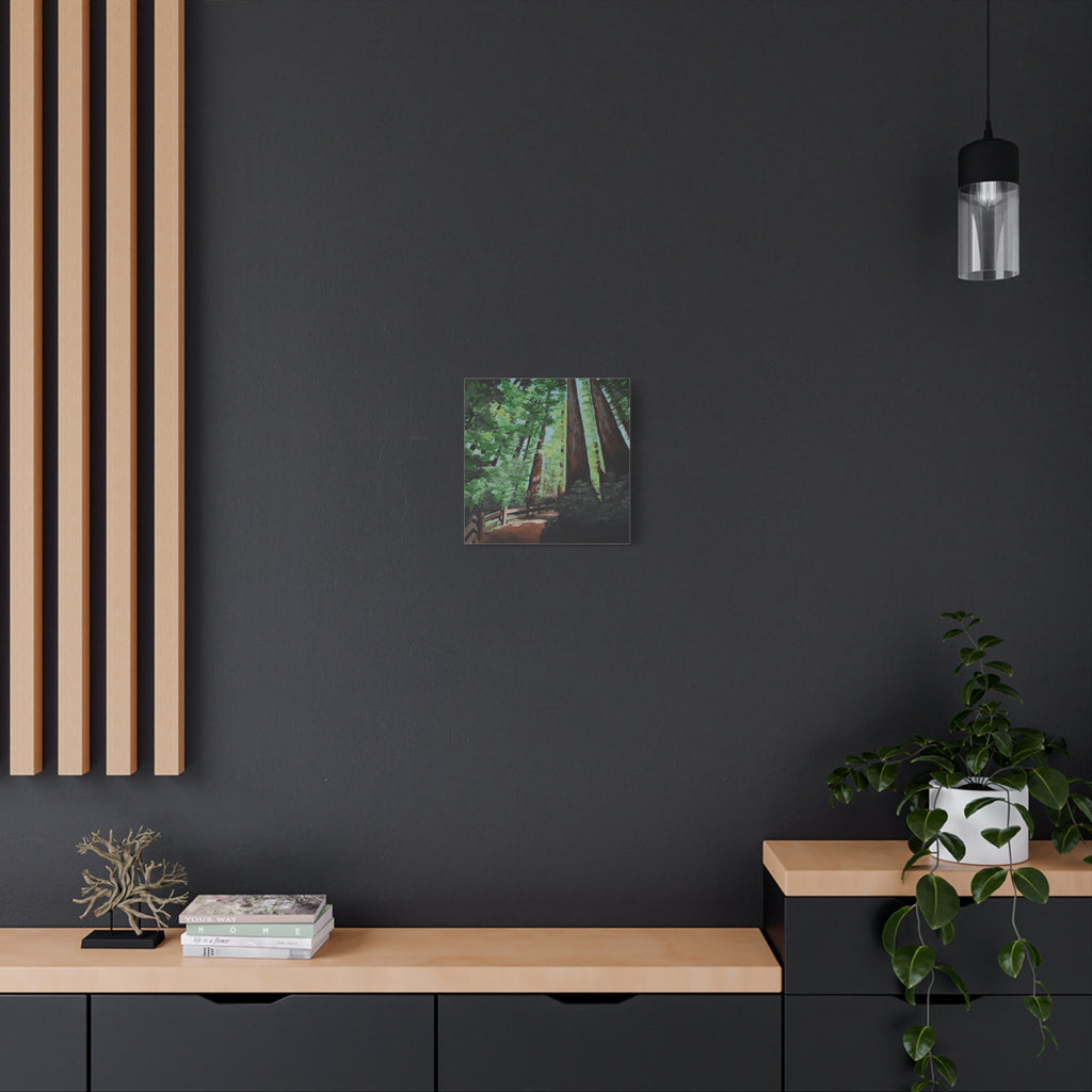Redwood Forest Painting Canvas Print — Stretched Matte Wall Art