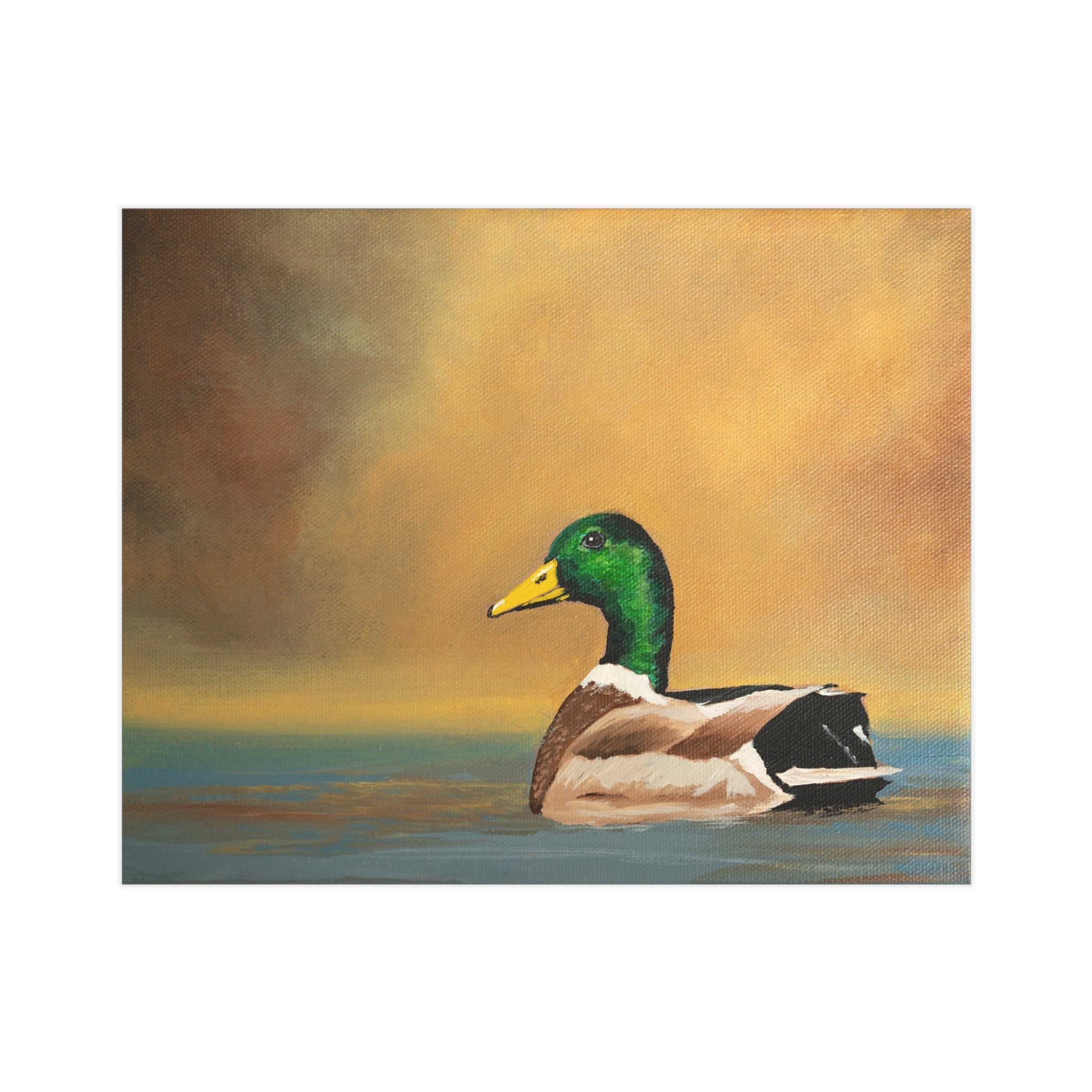Mallard Duck Art Print 8x10" — Vintage-Style Waterfowl Illustration Unframed Print