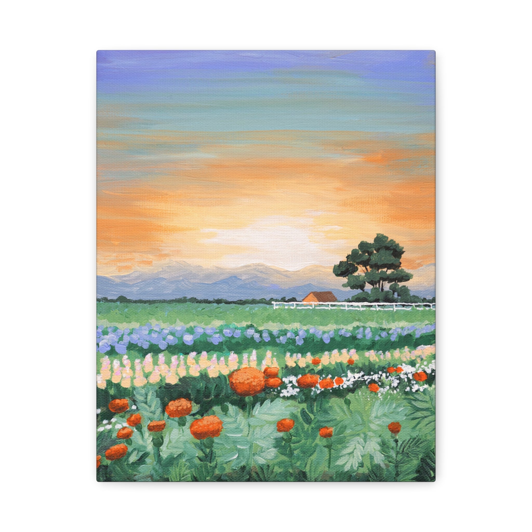 Sunset Flower Field Canvas Print — Stretched Matte Wall Art
