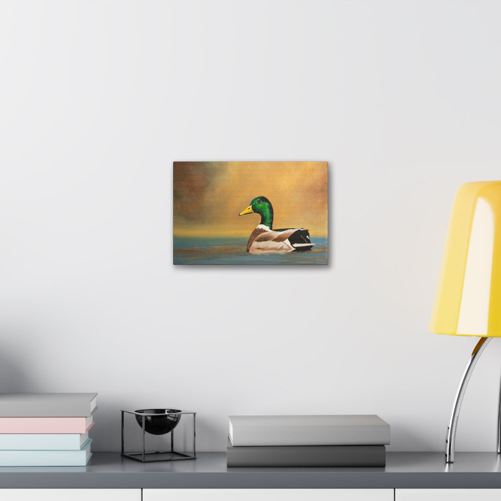 Mallard - Canvas Stretched, 1.5''