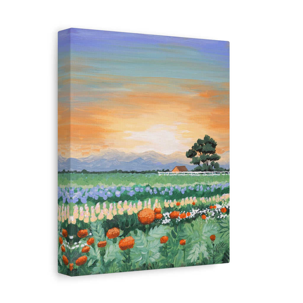 Sunset Flower Field Canvas Print — Stretched Matte Wall Art