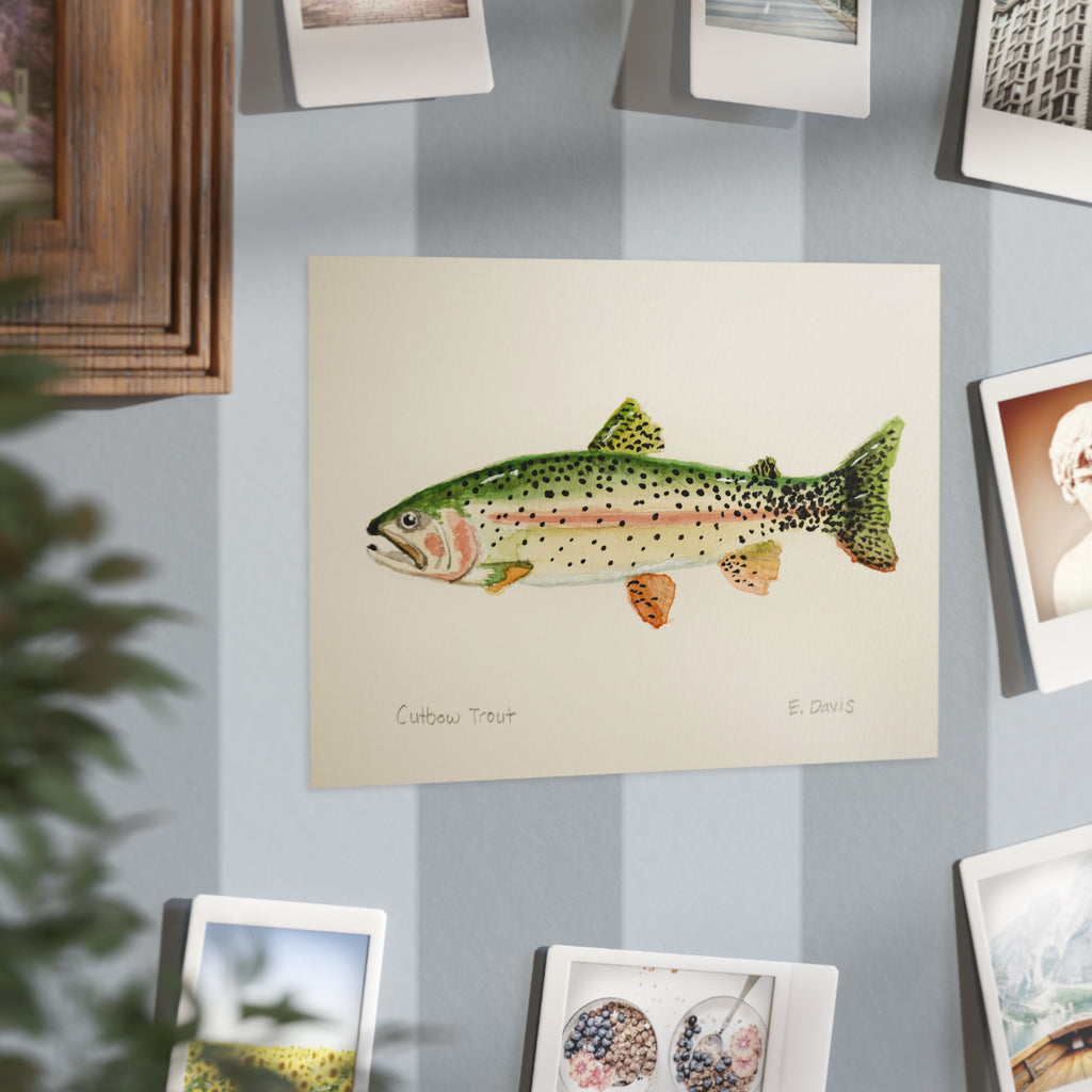 Cutbow Trout Art Print 5x7" — Watercolor Fish Illustration Unframed