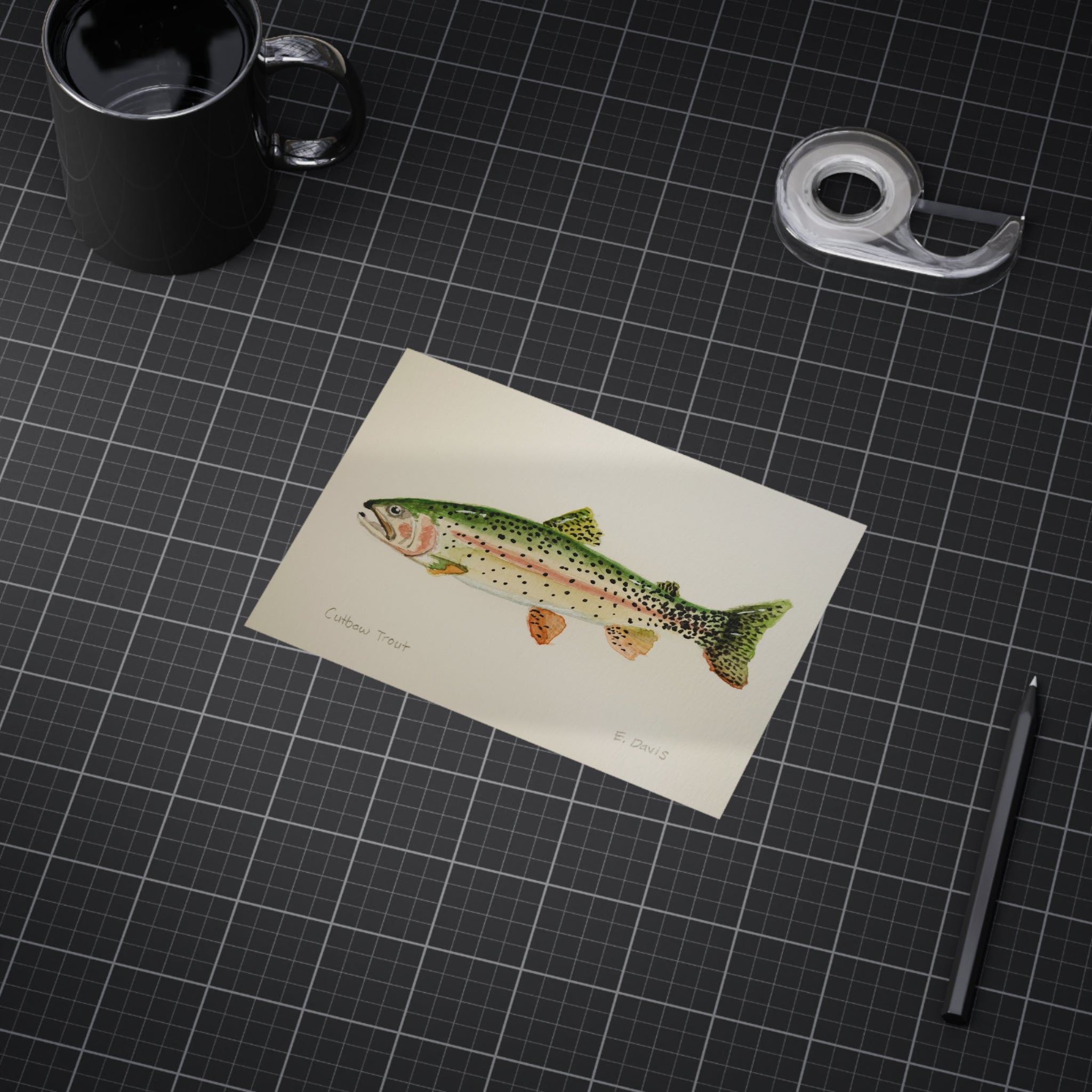 Cutbow Trout Art Print 5x7" — Watercolor Fish Illustration Unframed
