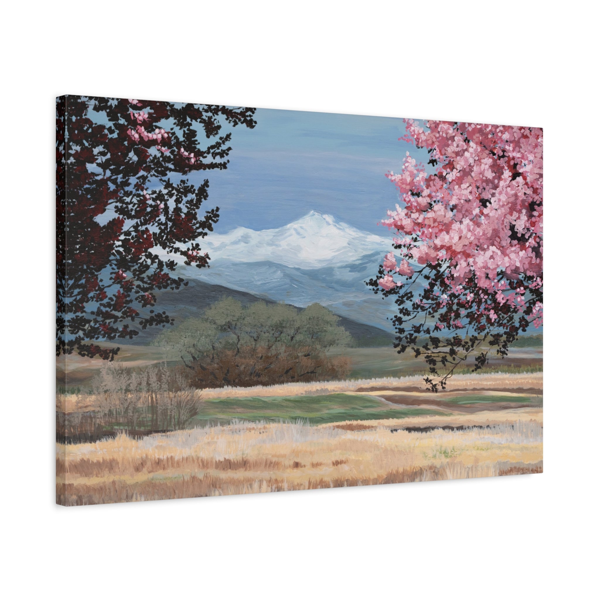 Mountain Blossom Canvas Print — Spring Landscape Matte Stretched Wall Art