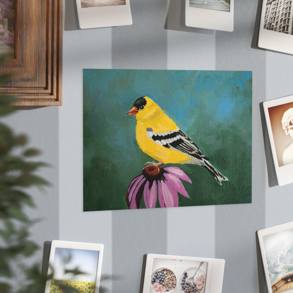 Goldfinch Art Print 5x7"— Yellow Bird Painting on Coneflower (Unframed)