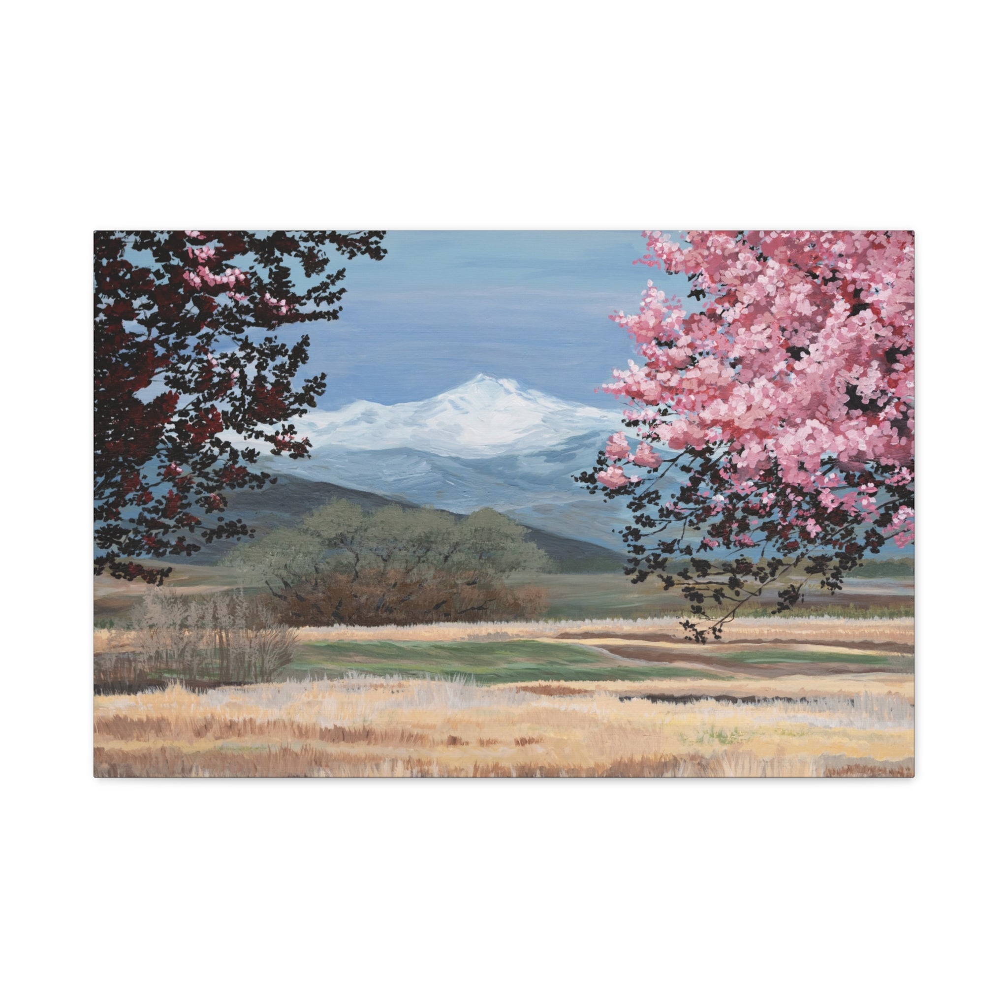 Mountain Blossom Canvas Print — Spring Landscape Matte Stretched Wall Art