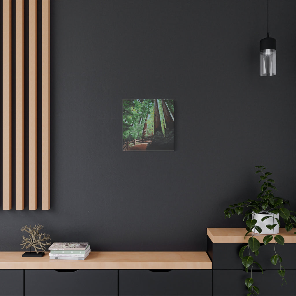 Redwood Forest Painting Canvas Print — Stretched Matte Wall Art