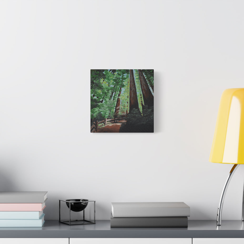 Redwood Forest Painting Canvas Print — Stretched Matte Wall Art
