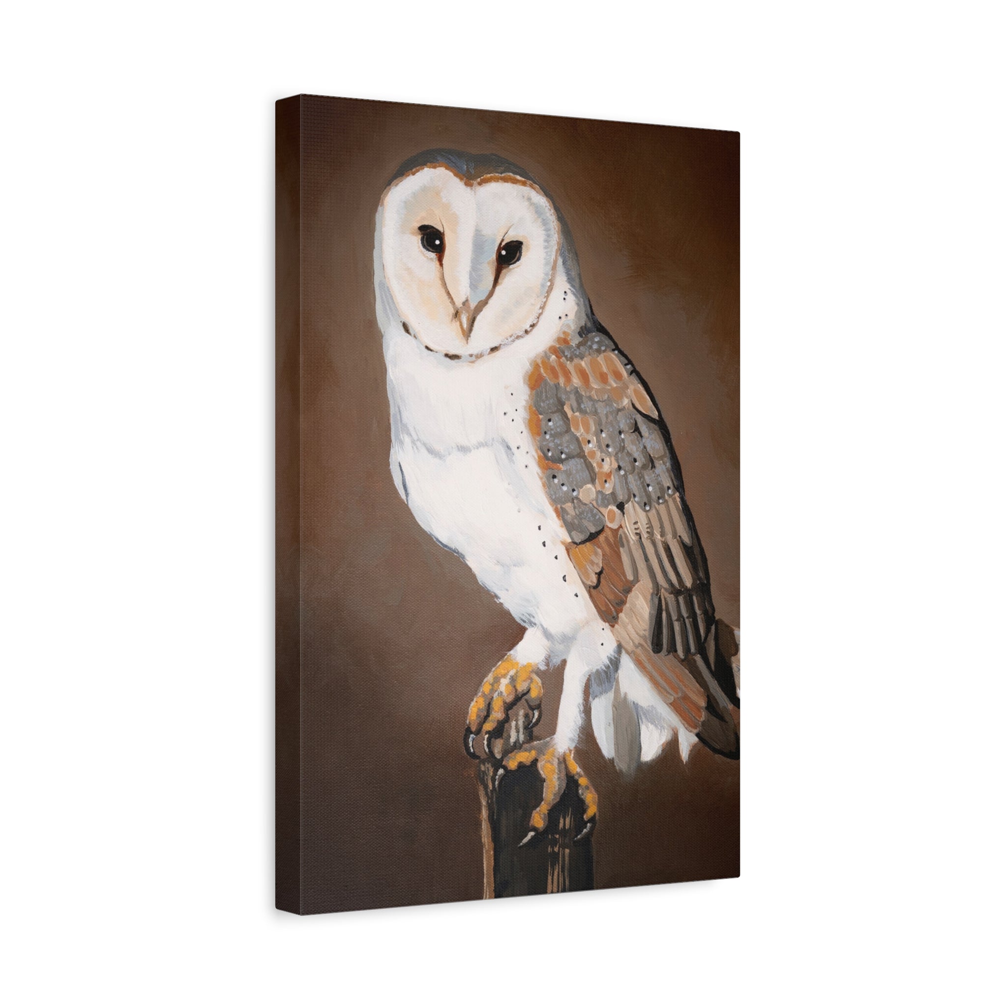 Barn Owl Matte Canvas Wall Art — Stretched Wildlife Painting