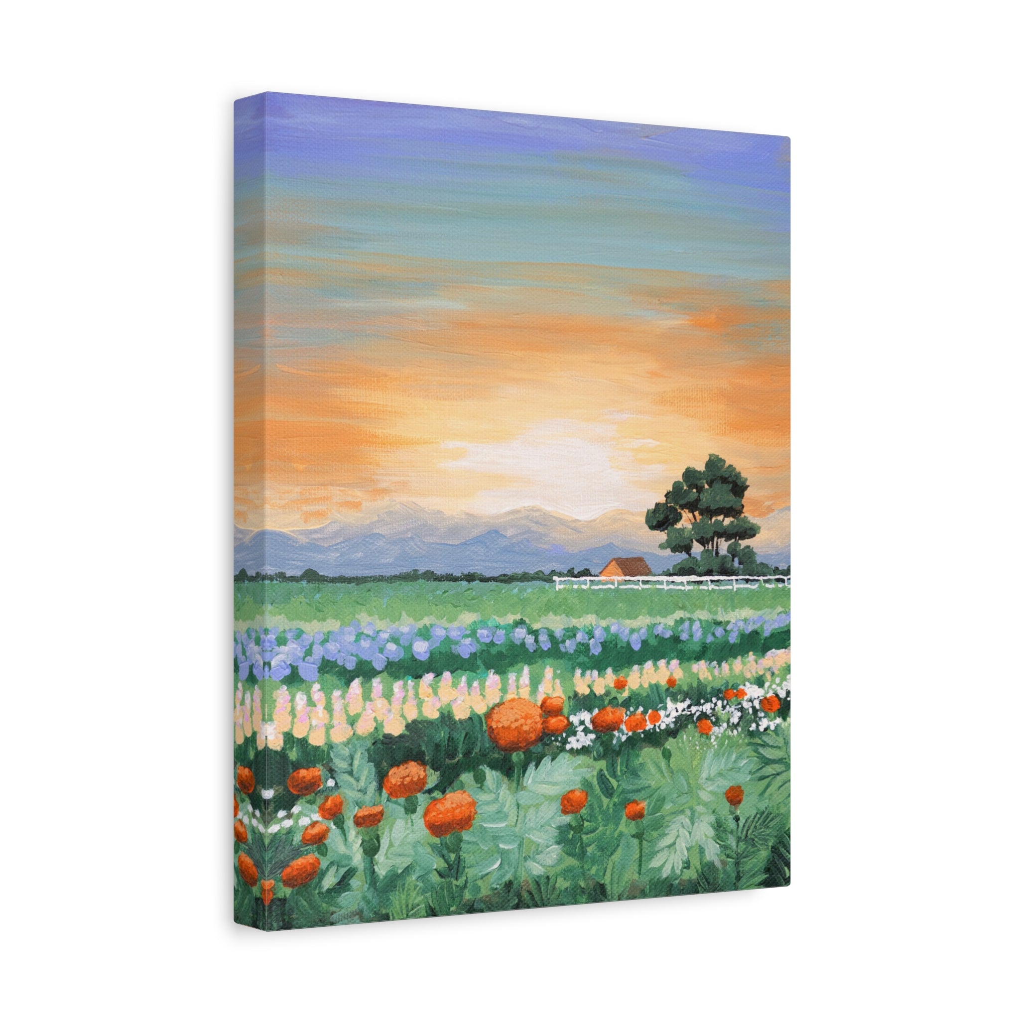 Sunset Flower Field Canvas Print — Stretched Matte Wall Art