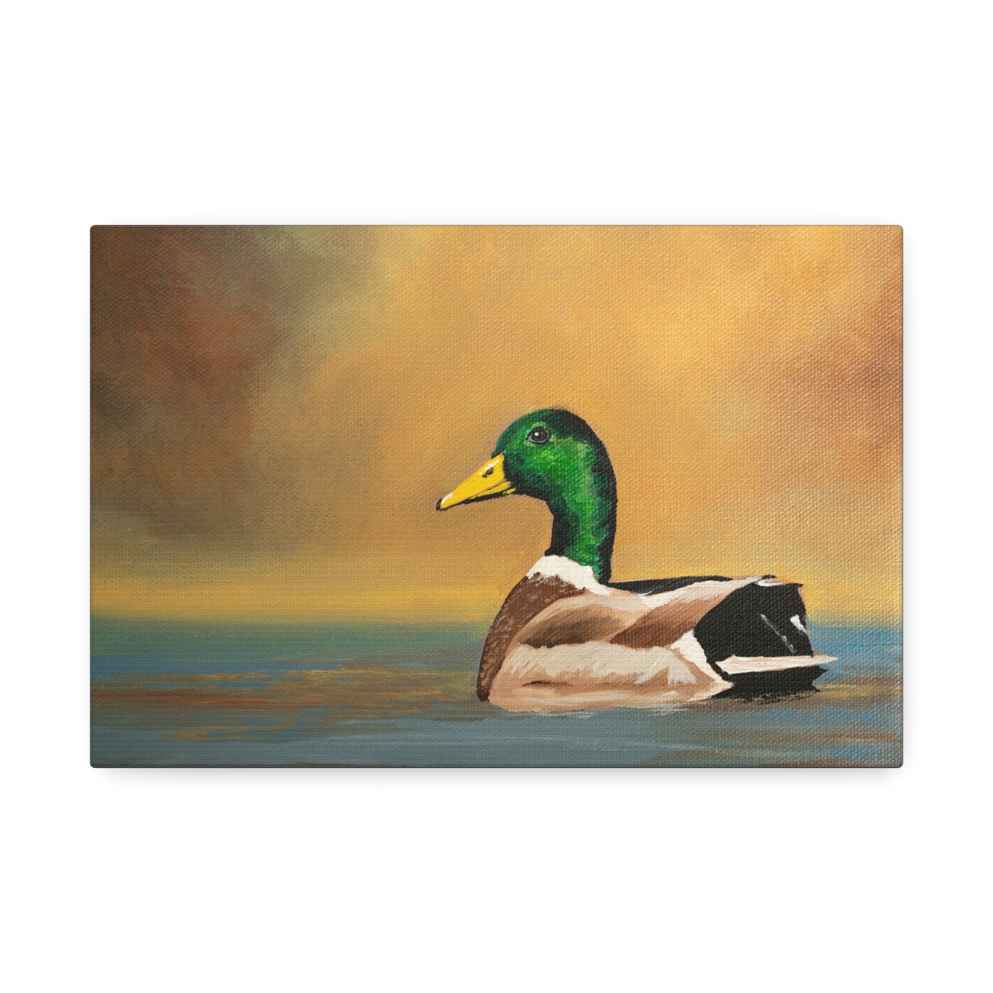Mallard - Canvas Stretched, 1.5''