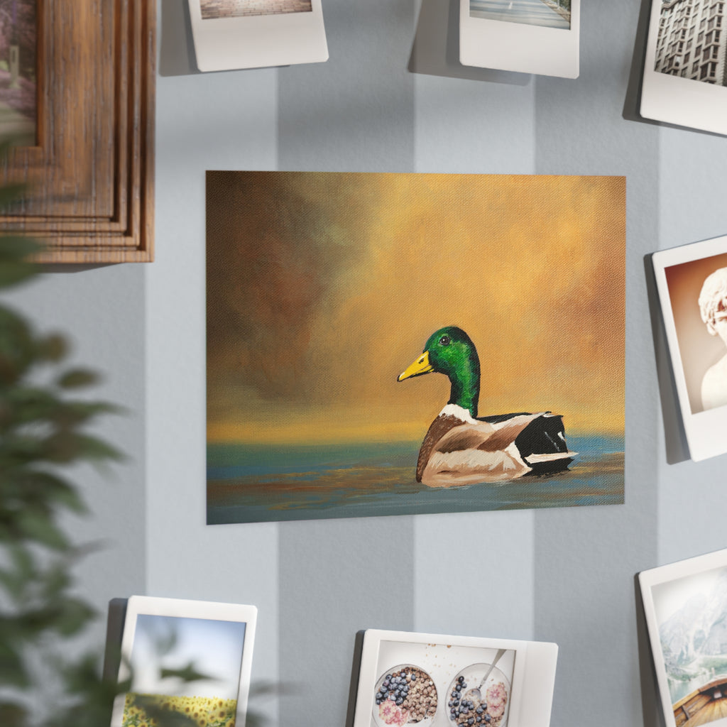 Mallard Duck Print 5x7" — Realistic Wildlife Art Unframed Print