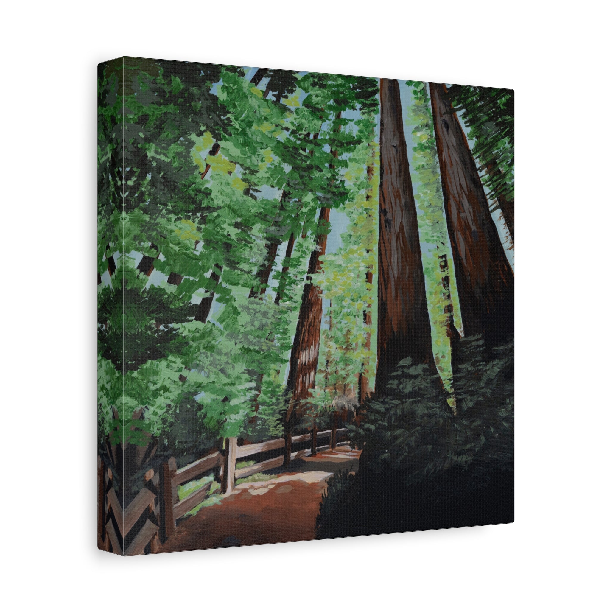 Redwood Forest Painting Canvas Print — Stretched Matte Wall Art