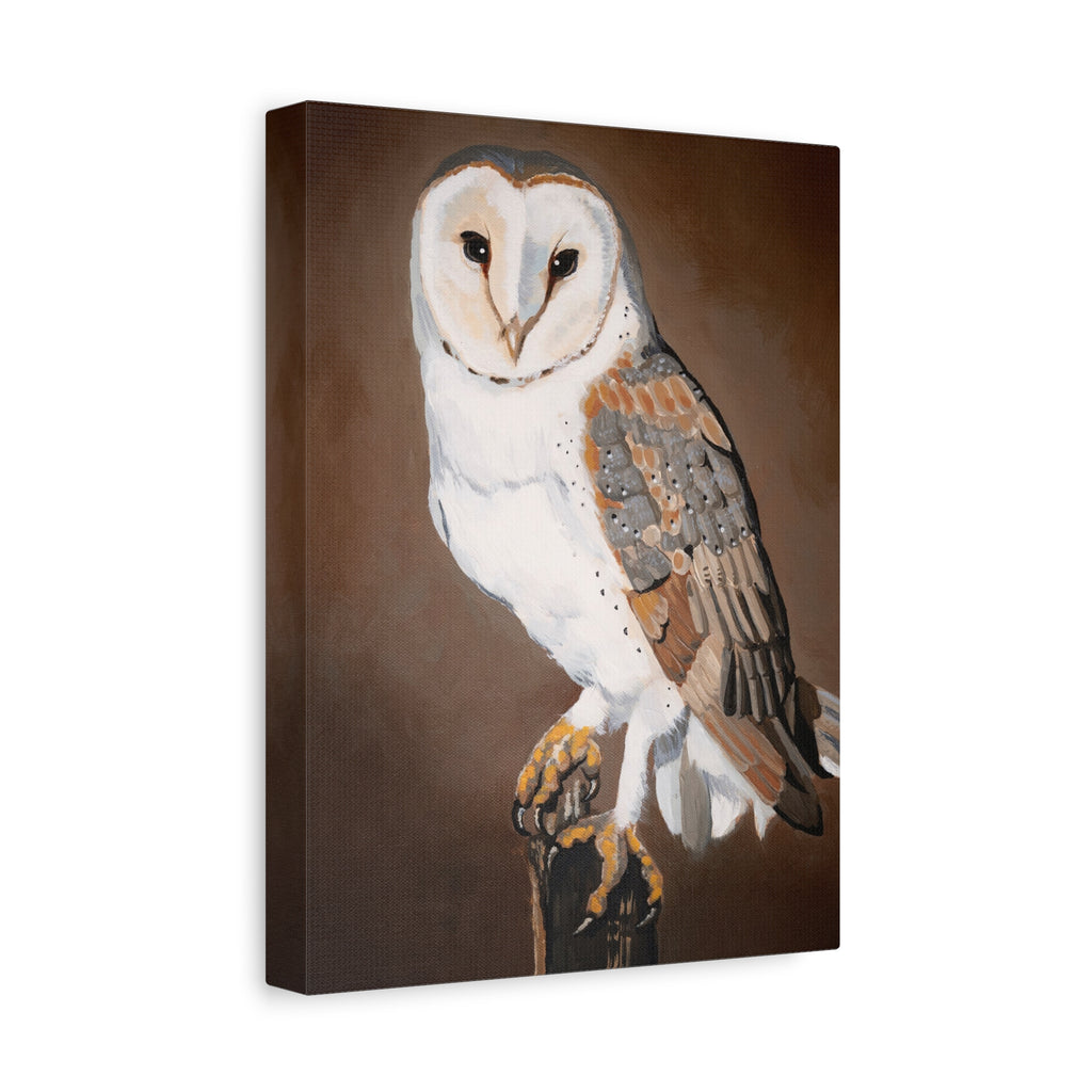 Barn Owl Matte Canvas Wall Art — Stretched Wildlife Painting