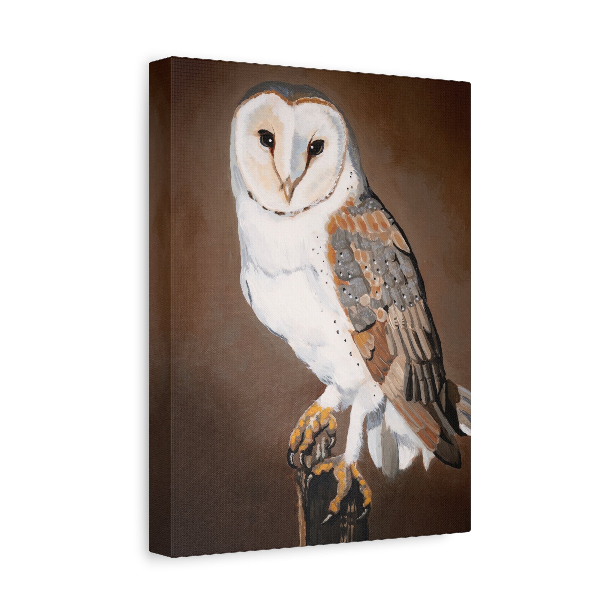 Barn Owl Matte Canvas Wall Art — Stretched Wildlife Painting