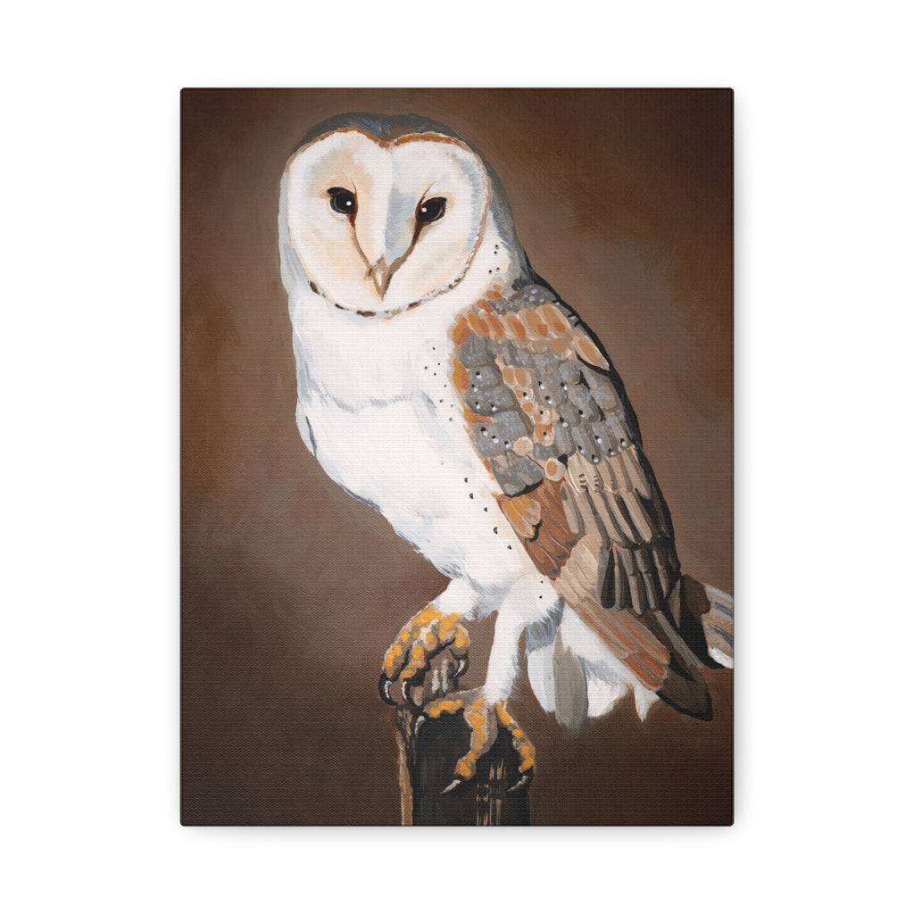 Barn Owl Matte Canvas Wall Art — Stretched Wildlife Painting