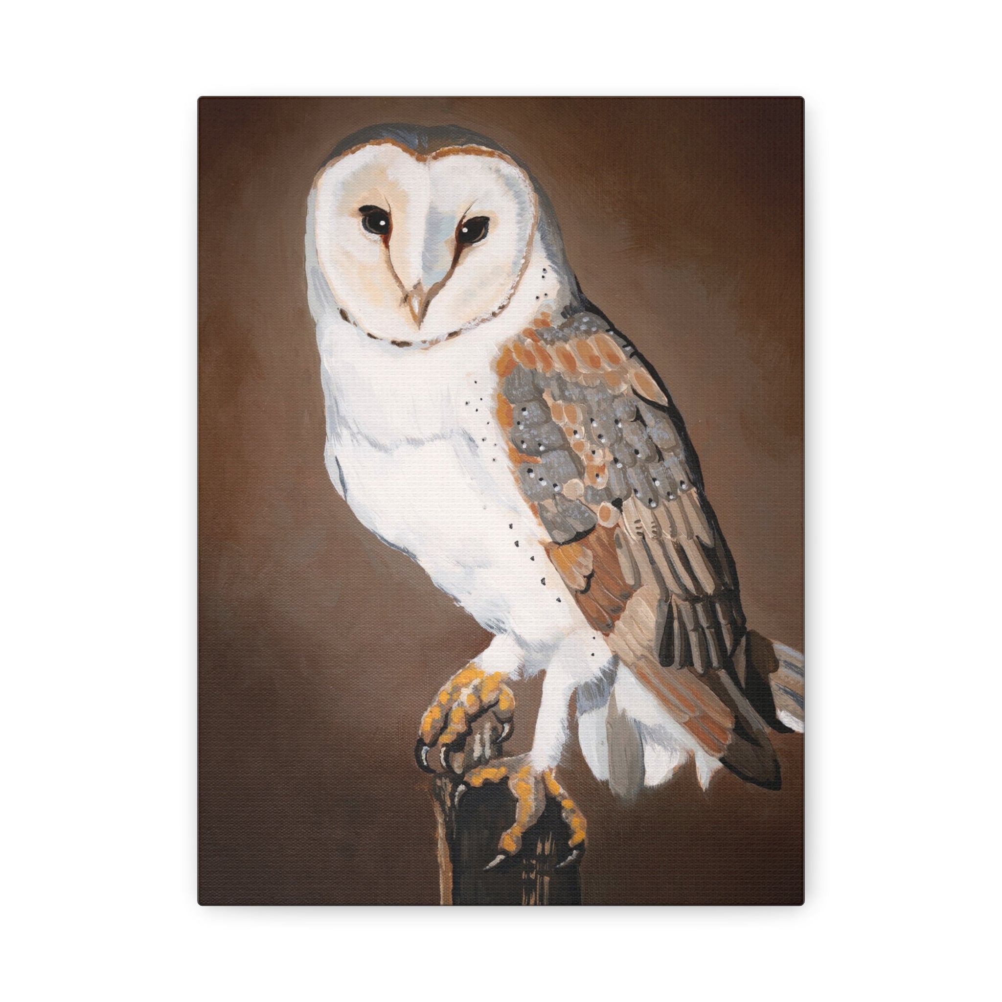 Barn Owl Matte Canvas Wall Art — Stretched Wildlife Painting