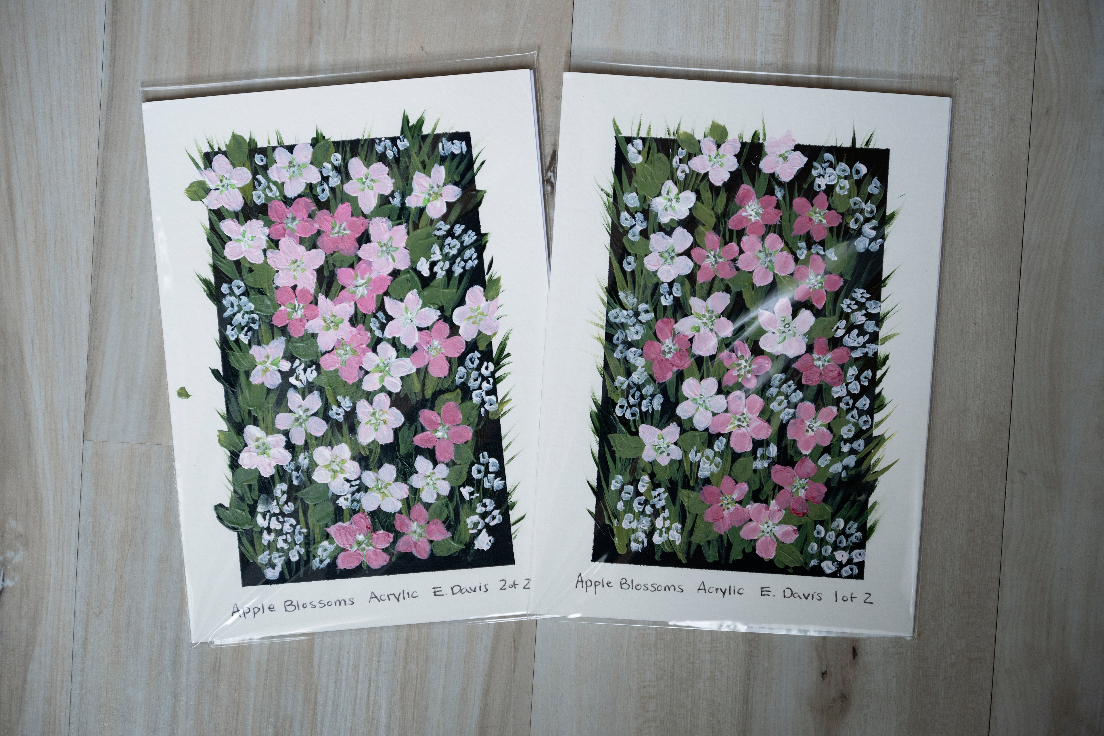 5x7 Apple Blossoms