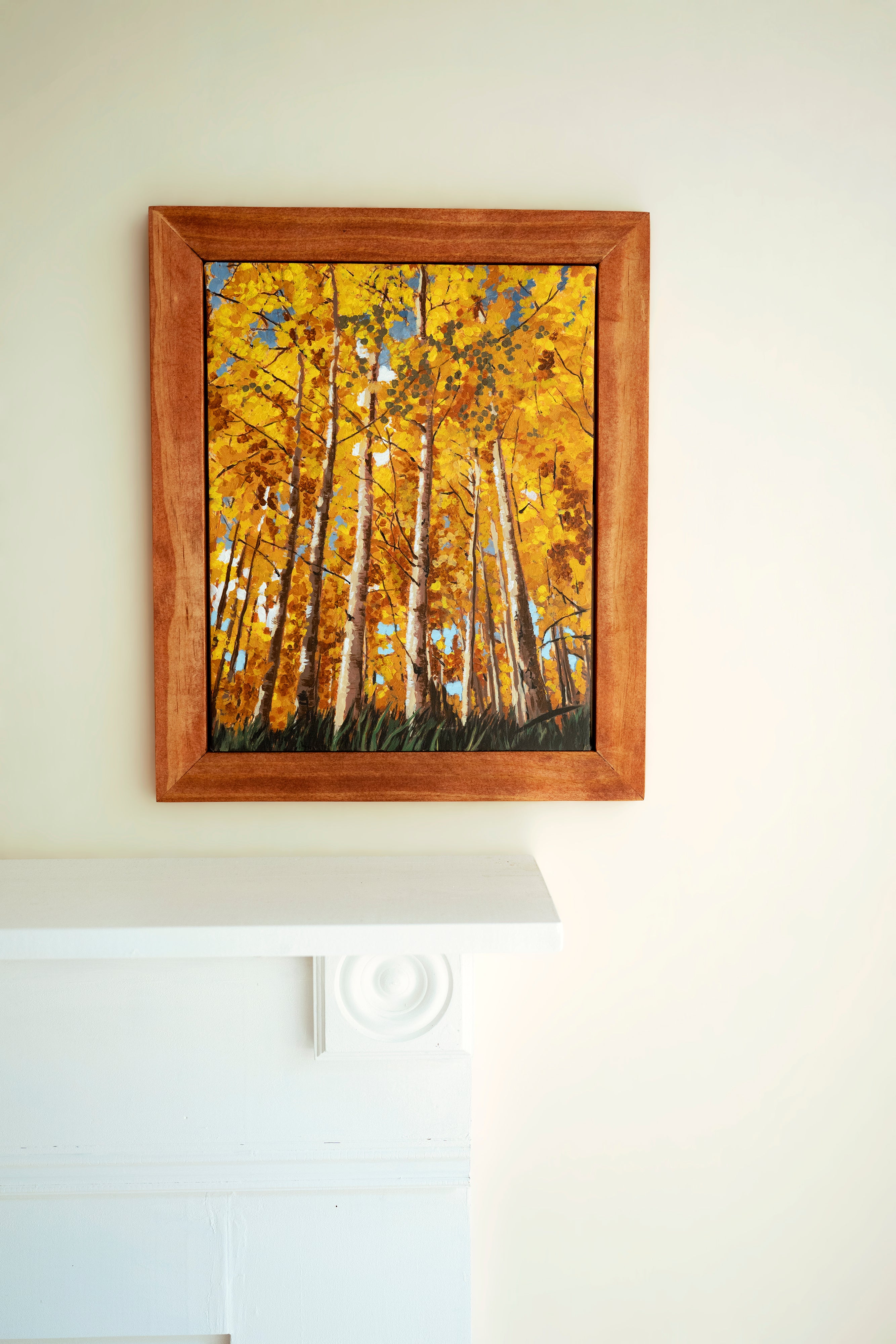 Aspen Grove